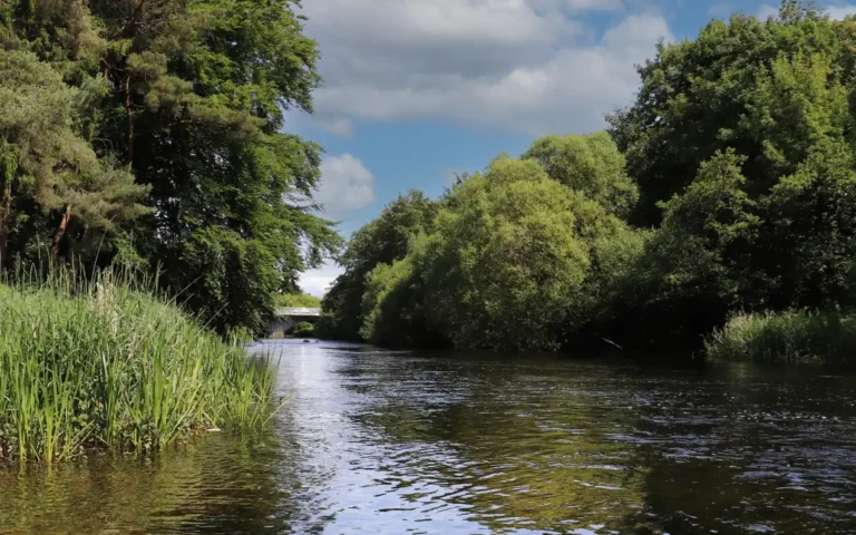 Tower Green by Ballymore - Rivers & Green Spaces