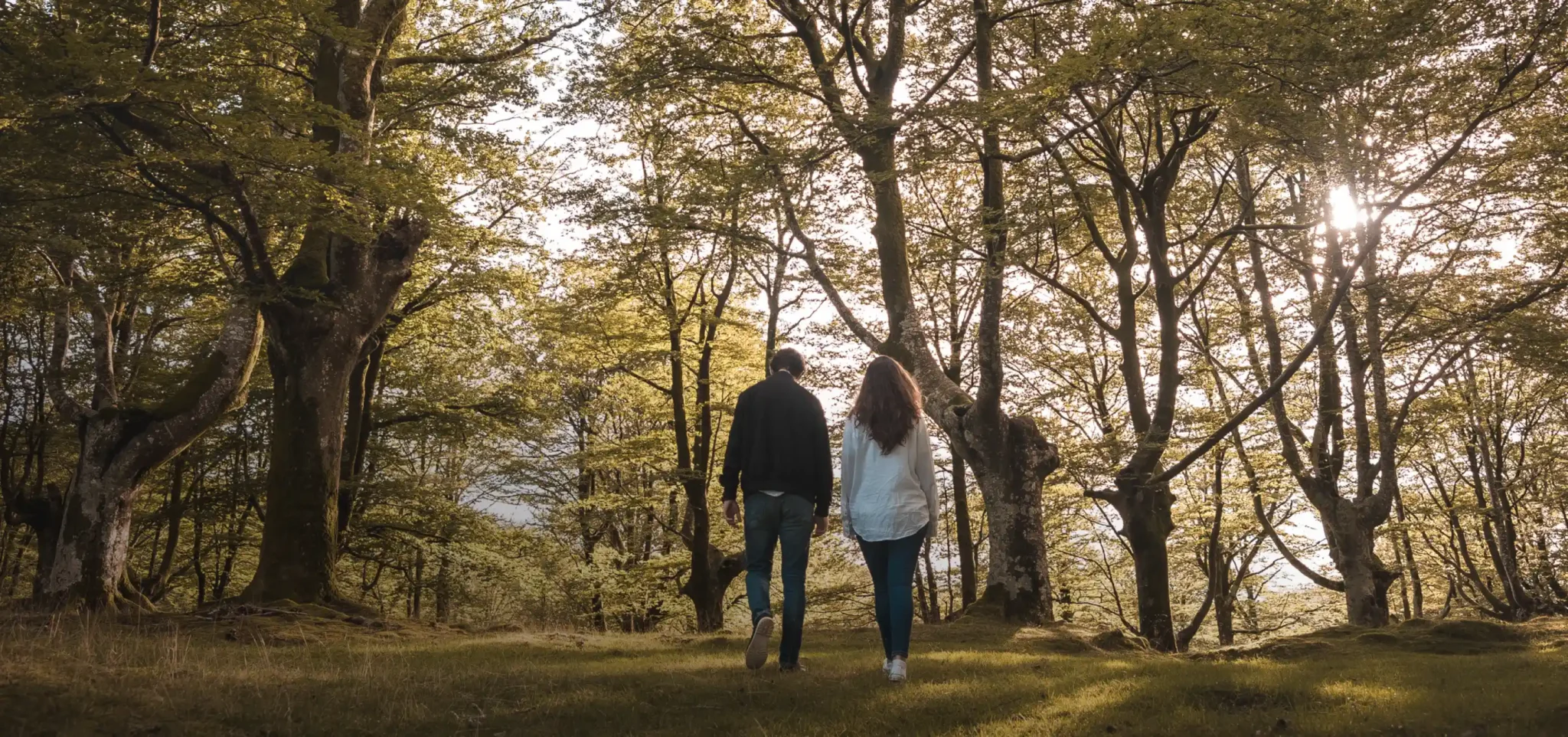 Tower Green by Ballymore - Where town and countryside meet